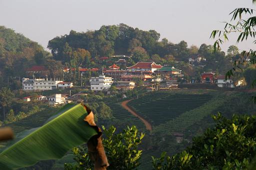 0544 Gouden Driehoek.jpg